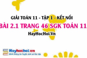 Giải bài 2.1 trang 46 Toán 11 tập 1 SGK Kết nối tri thức